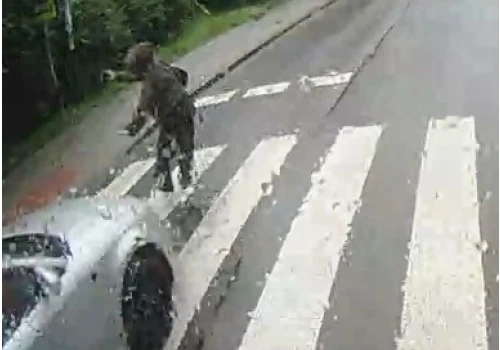 Potrącenia na pasach, jedno ze skutkiem śmiertelnym. Sprawcy uciekli, ale są w rękach policji