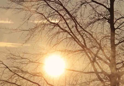 Zielona Góra. Uwaga, niebezpieczny upał zaleje region. Wydano ostrzeżenie