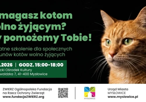 Urząd Miasta Mysłowice organizuje bezpłatne szkolenie dla opiekunów kotów wolno żyjących