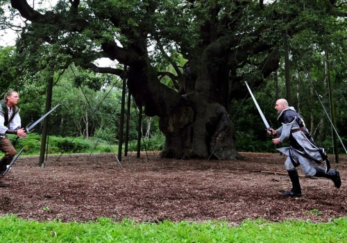 Podobno chronił się w nim Robin Hood. Umarł prastary, legendarny dąb