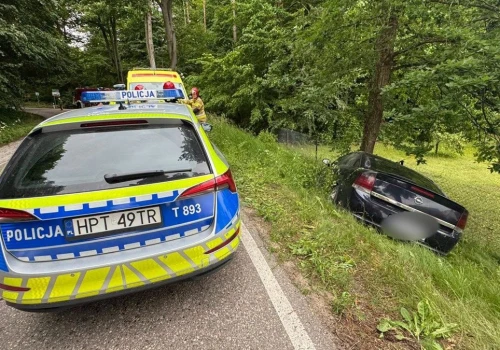 Rozpędzony 72-latek uderzył Oplem w drzewo