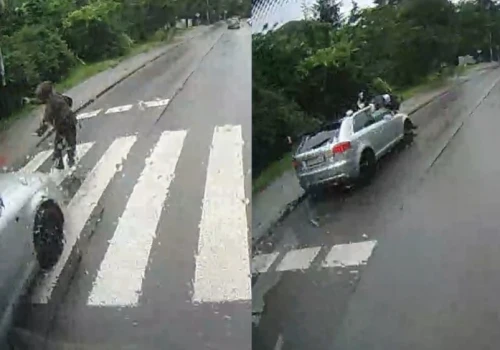 Potrącił kobietę na pasach w czasie wyprzedzania. Był poszukiwany listem gończym - policja opublikowała nagranie