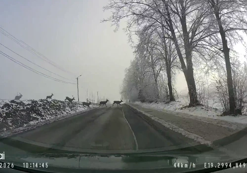 Przed falą upałów powspominajmy trochę zimę