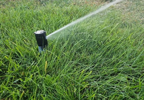 Nie kupuj pierwszego lepszego zraszacza. Jeden detal decyduje o skuteczności podlewania