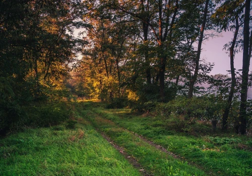 Mieszkają tu tylko dwie osoby. To, co stało się z najmniejszą wsią w regionie, zaskakuje do dziś