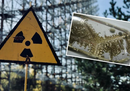 Zniknęła butelka z radioaktywną substancją. Alarm radiologiczny w Argentynie