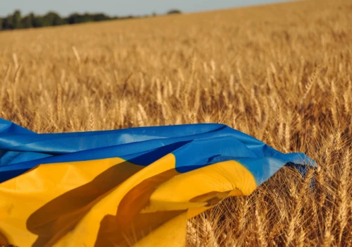 Bruksela chce rozmów o końcu embarga. Czy ukraińskie zboże znów zaleje polski rynek?