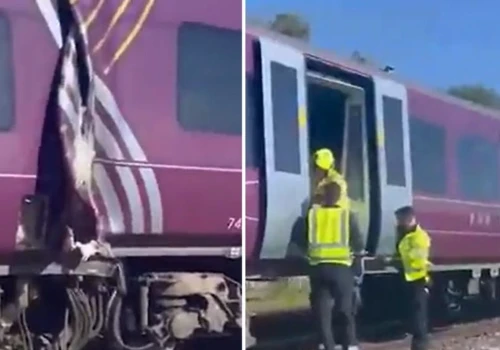 Groźny wypadek w Wielkiej Brytanii. Zderzenie dwóch pociągów pasażerskich