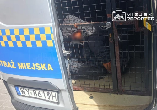 Ukradł gaśnicę i wpadł w ręce strażników miejskich. Był poszukiwany