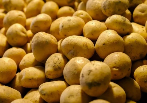Młode ziemniaki z Polski po 2,00 zł/kg. Import z Egiptu i Cypru nie odpuszcza