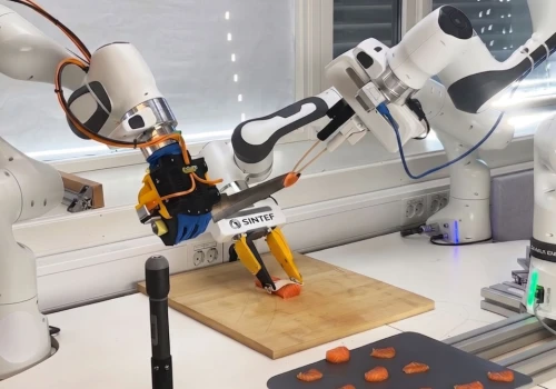Robot nauczył się kroić sashimi. Sztuczny dotyk i 95% skuteczności