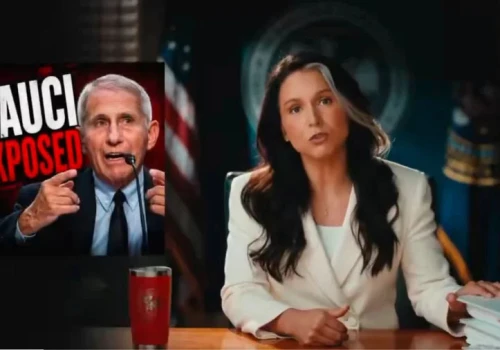 Gabbard publikuje dokumenty dotyczące Fauciego i COVID-19