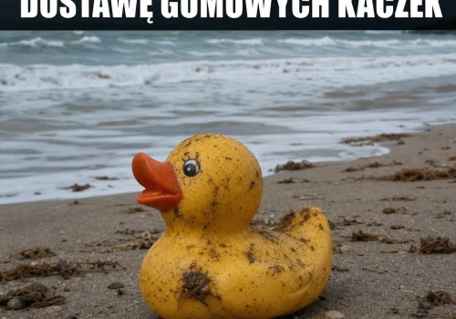 Kaczki uciekły z wanny do oceanografii