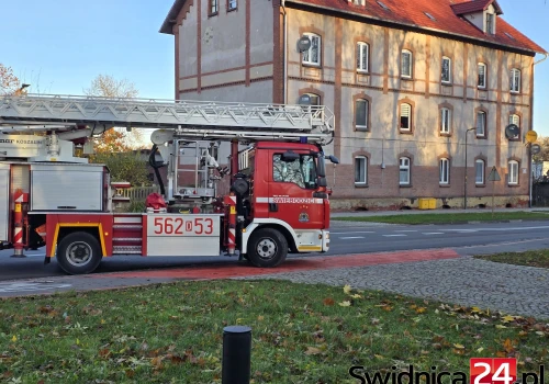 Interwencja służb w zakładzie pracy przy Alei Wojska Polskiego w Strzegomiu