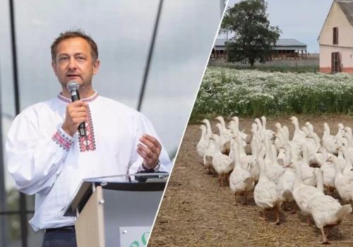 Polska gęsina podbije UE dzięki certyfikatowi. 