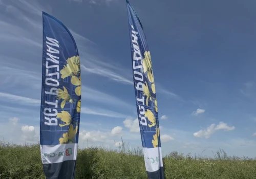 Na jaką odmianę rzepaku postawić? Co proponuje Osadkowski?