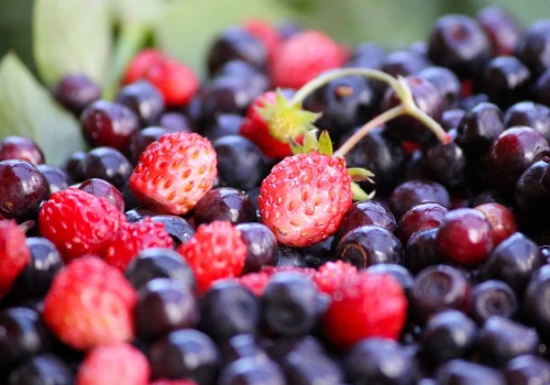 Cukiernie już robią jagodzianki i poziomianki. Ile kosztują w tym sezonie?