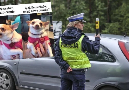 Opłata za kurs reedukacyjny dla osób, które straciły prawo jazdy wzrośnie aż pięciokrotnie