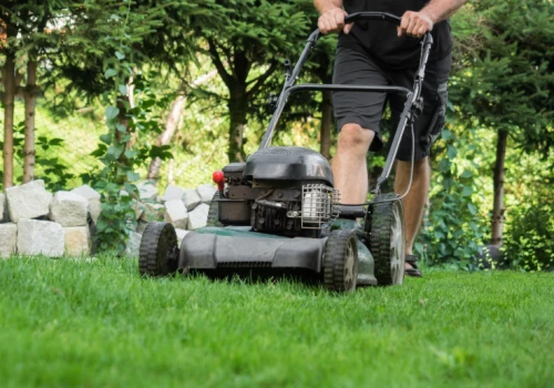 Mandat za koszenie trawy. Sąsiad może wezwać służby