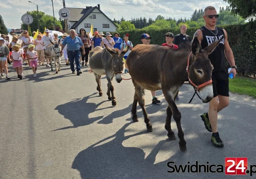 Szlakiem „Pani w Słońcu”. Wyjątkowa pielgrzymka z udziałem osiołków