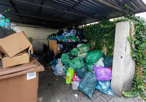 Wyrzucasz śmieci w ten sposób? Ruszyli z kontrolami. Mandaty już na 1,7 tys. zł