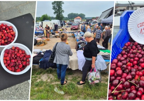 Kubek poziomek kosztował tyle, co kilogram czereśni. Ceny z sokólskiego rynku