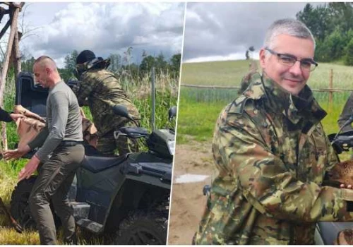 Strażnicy graniczni uratowali łoszaka