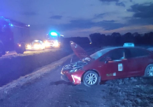 Pijany 21-latek wjechał Toyotą do rowu na DK48. Miał blisko 2,5 promila