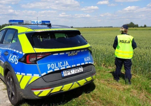 Zniknął z podwórka, rodzina drżała o jego życie. Policjanci znaleźli go nieprzytomnego w polu pszenicy!