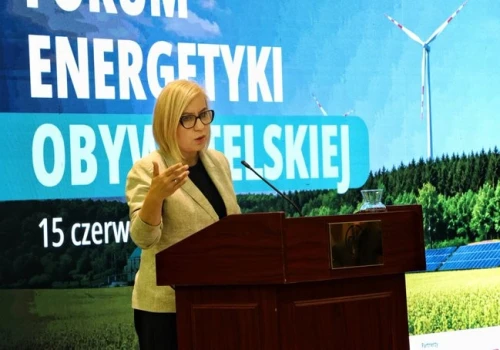 Miliardy na walkę ze smogiem i rachunkami za energię. Rząd szykuje nowe programy wsparcia