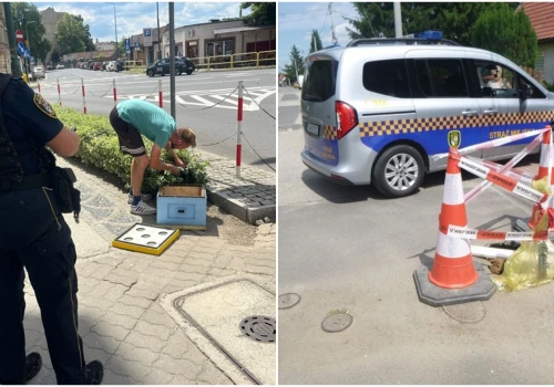 Mieszkańcy skarżący się na chemiczny zapach, zwierzęta wymagające pomocy, usuwanie wraków. Interwencje straży miejskiej
