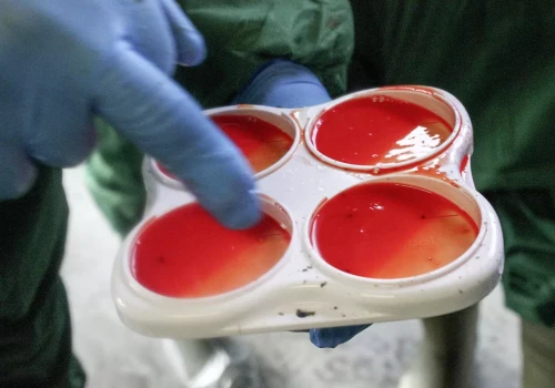 Zdrowie wymienia zaczyna się od analizy – jak skutecznie ograniczać mastitis na fermach mlecznych?
