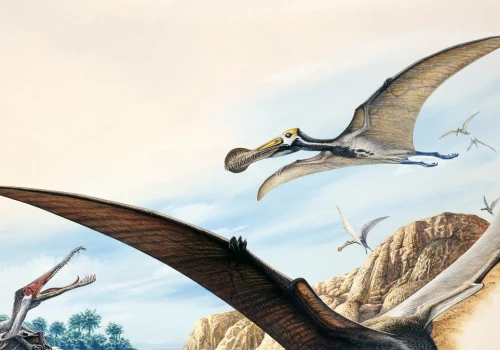 Sprawdzili co jadł pterozaur z epoki kredy. I zaskoczenie - to nie ryby
