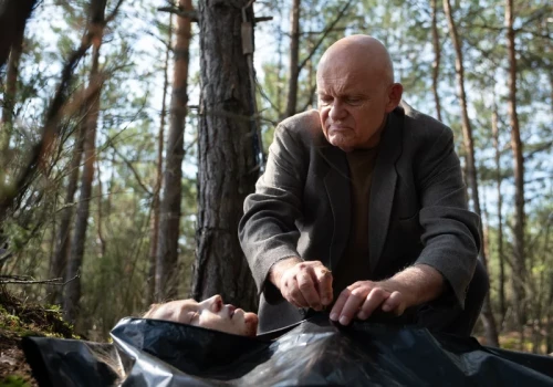 13 seriali Harlana Cobena na Netflix. Widzowie rzucili się na kolejne hity