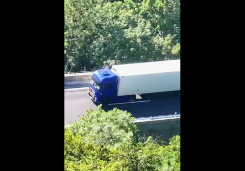 Awaria ciągnika i grzejący się ładunek ADR: olbrzymia akcja na A8 w Niemczech