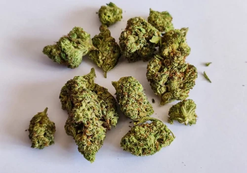Blood Orange Kush – najsilniejsza odmiana od Canopy Growth
