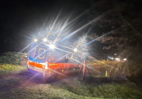 Tragedia w lesie. Jakie hipotezy ma policja?