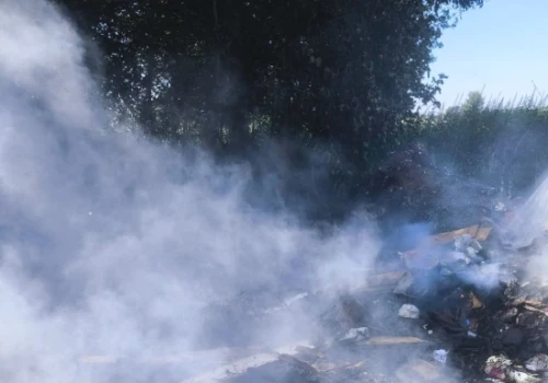 Strażacy gasili pożar śmieci i wydobyli kota ze studni