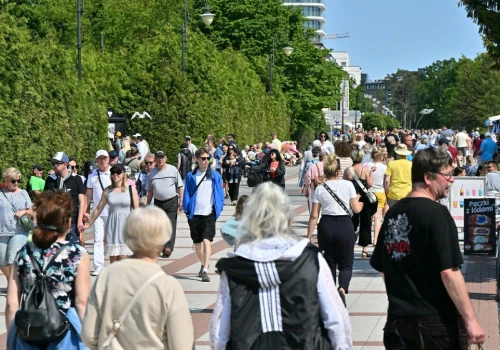 Zadali Polakom jedno pytanie. Odpowiedź tłumaczy 