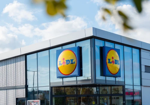 Ta tunika z haftowanym dekoltem wygląda jak COS lub Zara. Lidla ma ją za 35,99 zł