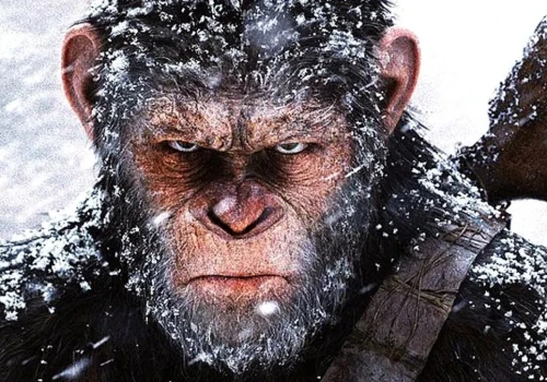 Jak dobrze znasz kultową serię science fiction Planeta Małp? Sprawdź swoją wiedzę w quizie!