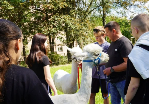 Ciepły posiłek, robotyka i ratunek w kryzysie. Rzeszów po cichu robi coś niesamowitego dla dzieci!