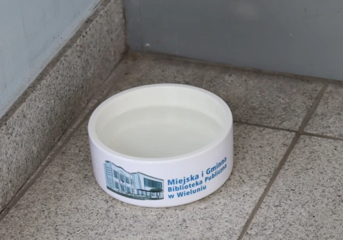 Zwierzętom też doskwiera upał. Wystawianie miseczek z wodą mile widziane!