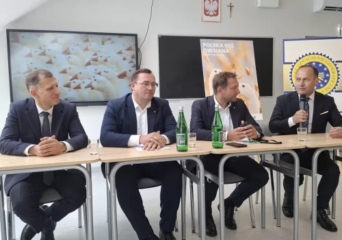 Polska gęś owsiana może dać rolnikom dwa razy większe przychody