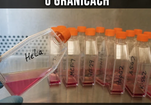 Guz z uprawnieniami administratora