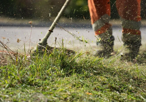 Ponad 5,5 mln zł na koszenie miejskich terenów. Olsztyn rozpoczyna sezon