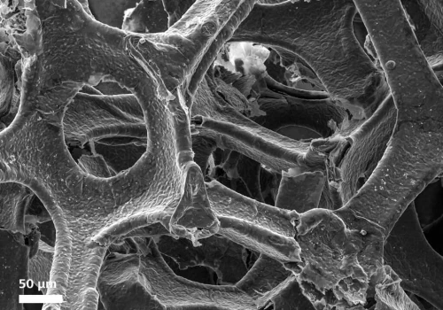 Polscy naukowcy z przełomem w nanografenie. Może oznaczać tańszą elektronikę