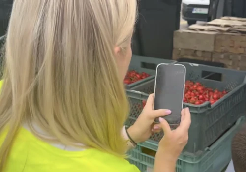 IJHARS skontrolował czereśnie. Wykryto nieprawidłowości w oznakowaniu