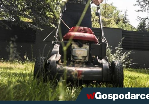 Koszenie trawy – susza zmienia zasady gry