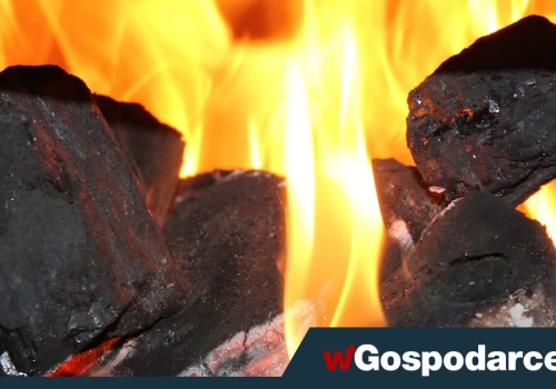 Kopalnia biła rekordy zysku. Ekoszaleństwo? Wyjechał ostatni wagonik